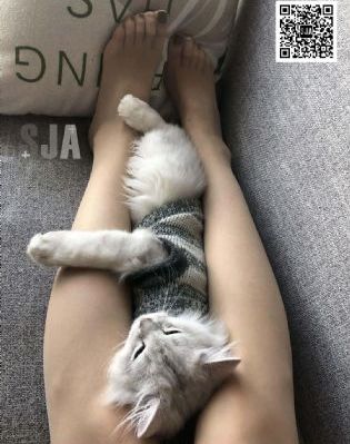 第一次同房该怎么玩_剧情片神马影院手机在线